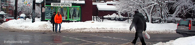 snowstorm aftermath in albany
