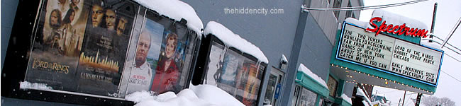 snowstorm aftermath in albany