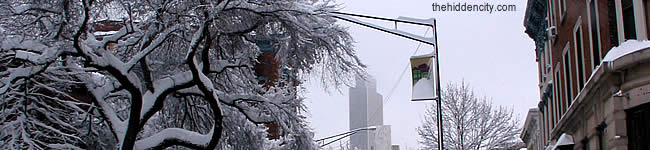 snowstorm aftermath in albany