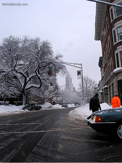 Corner of Lark and Madison, Albany NY.
