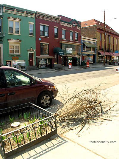 lark street