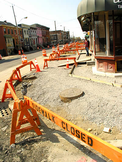 lark street
