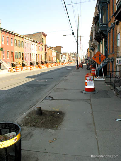 lark street