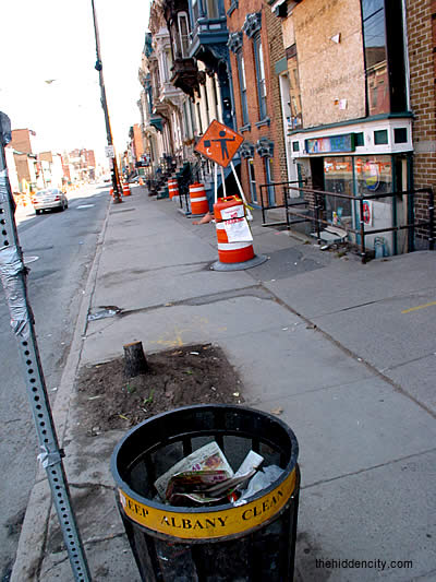 lark street